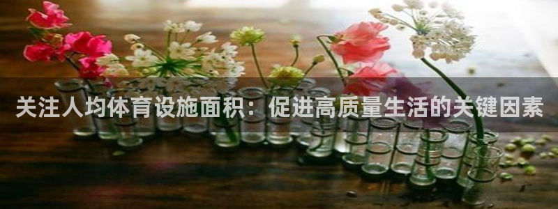 意昂4代理：关注人均体育设施面积：促进高质量生活的关
