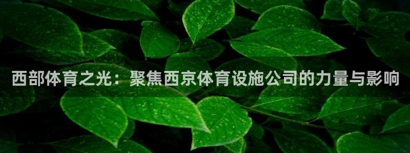 意昂体育4招商电话号码是多少号：西部体育之光：聚焦西