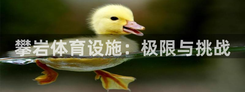 意昂4集团官网网址：攀岩体育设施：极限与挑战 